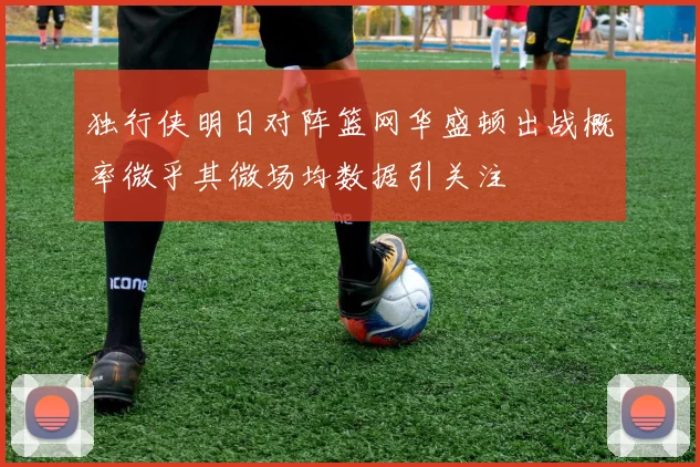 独行侠明日对阵篮网华盛顿出战概率微乎其微场均数据引关注